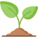 Holistic Growth